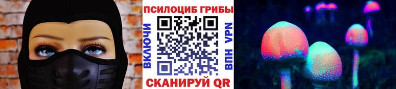 Псилоцибиновые грибы мухоморы  Купить закладки  Хабаровск 