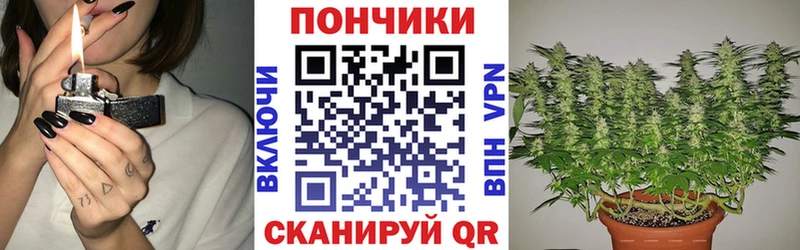 Купить закладки  Хабаровск  Каннабис OG Kush 